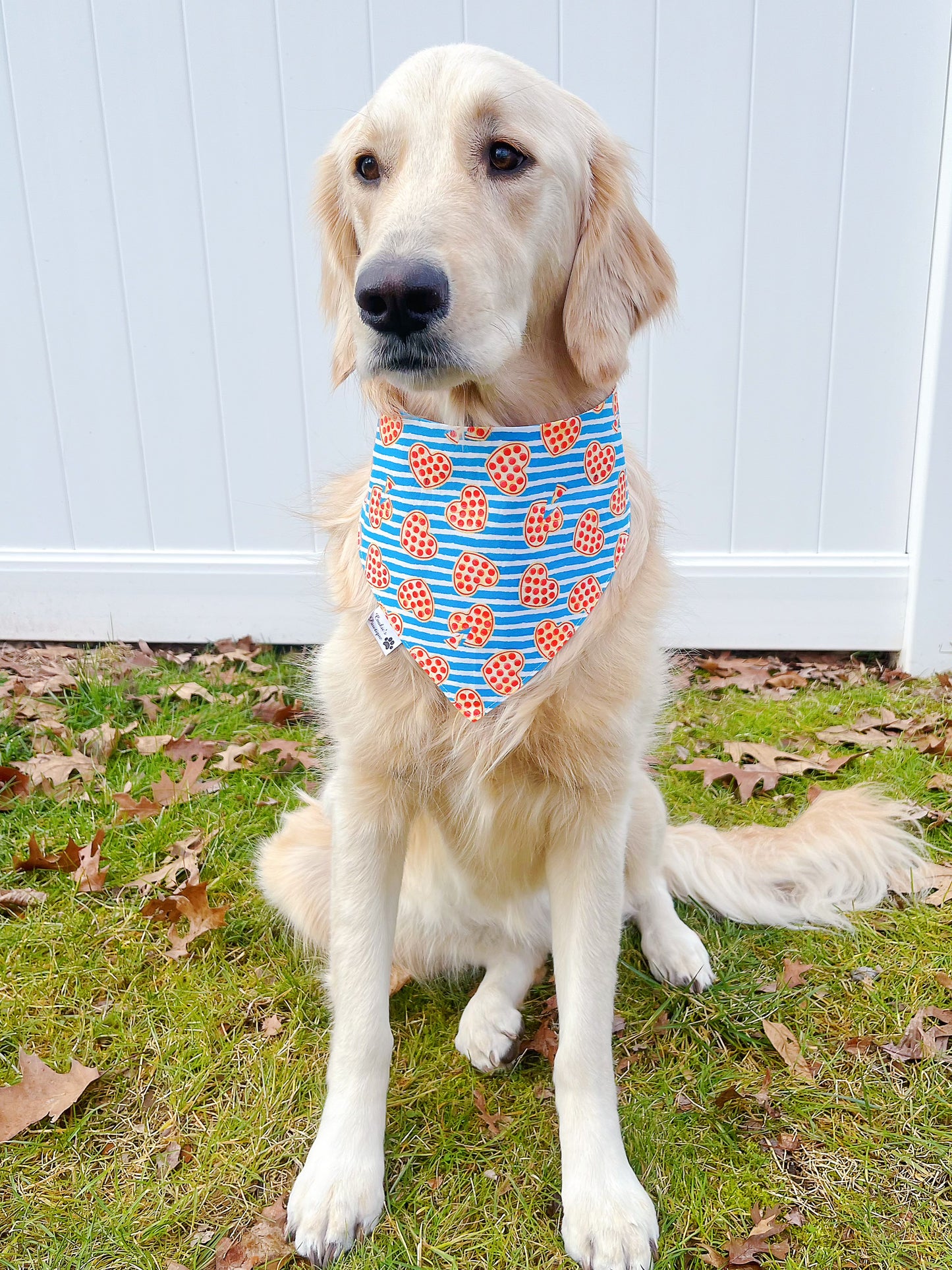 Stud Muffin And Pizza Love Bandana