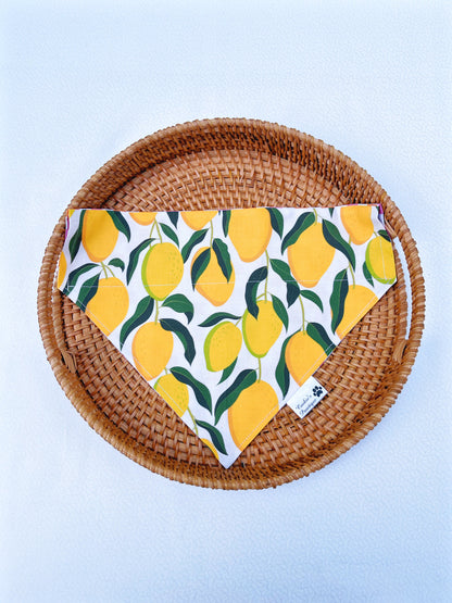 Tropical Mango Bandana