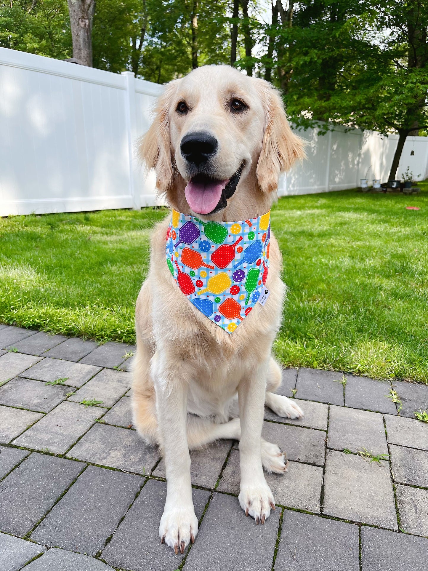 Colorful Pickleballs Bandana