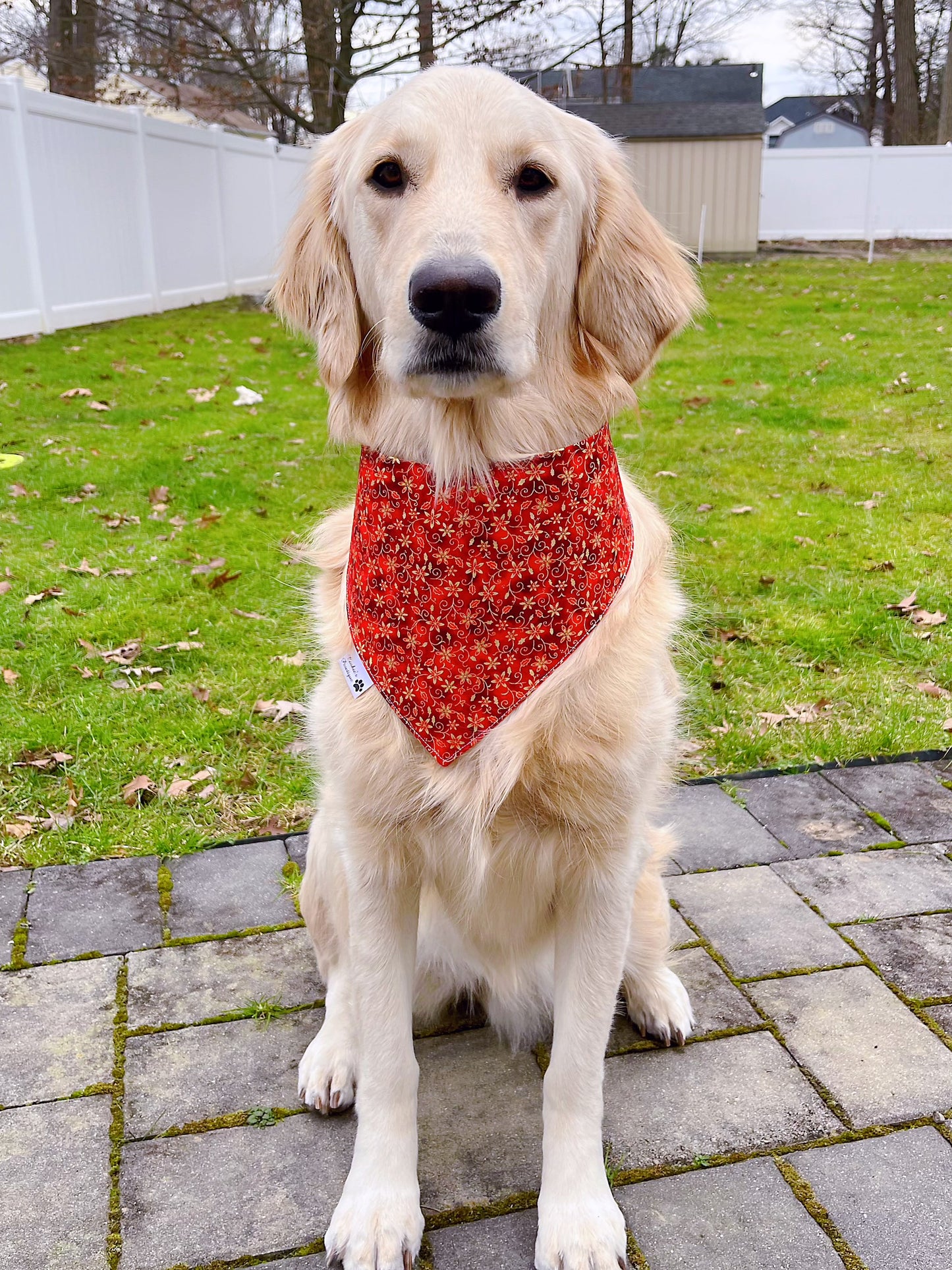 Happy Lunar New Year Bandana