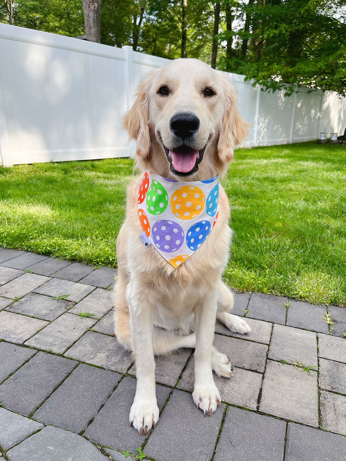 Colorful Pickleballs Bandana