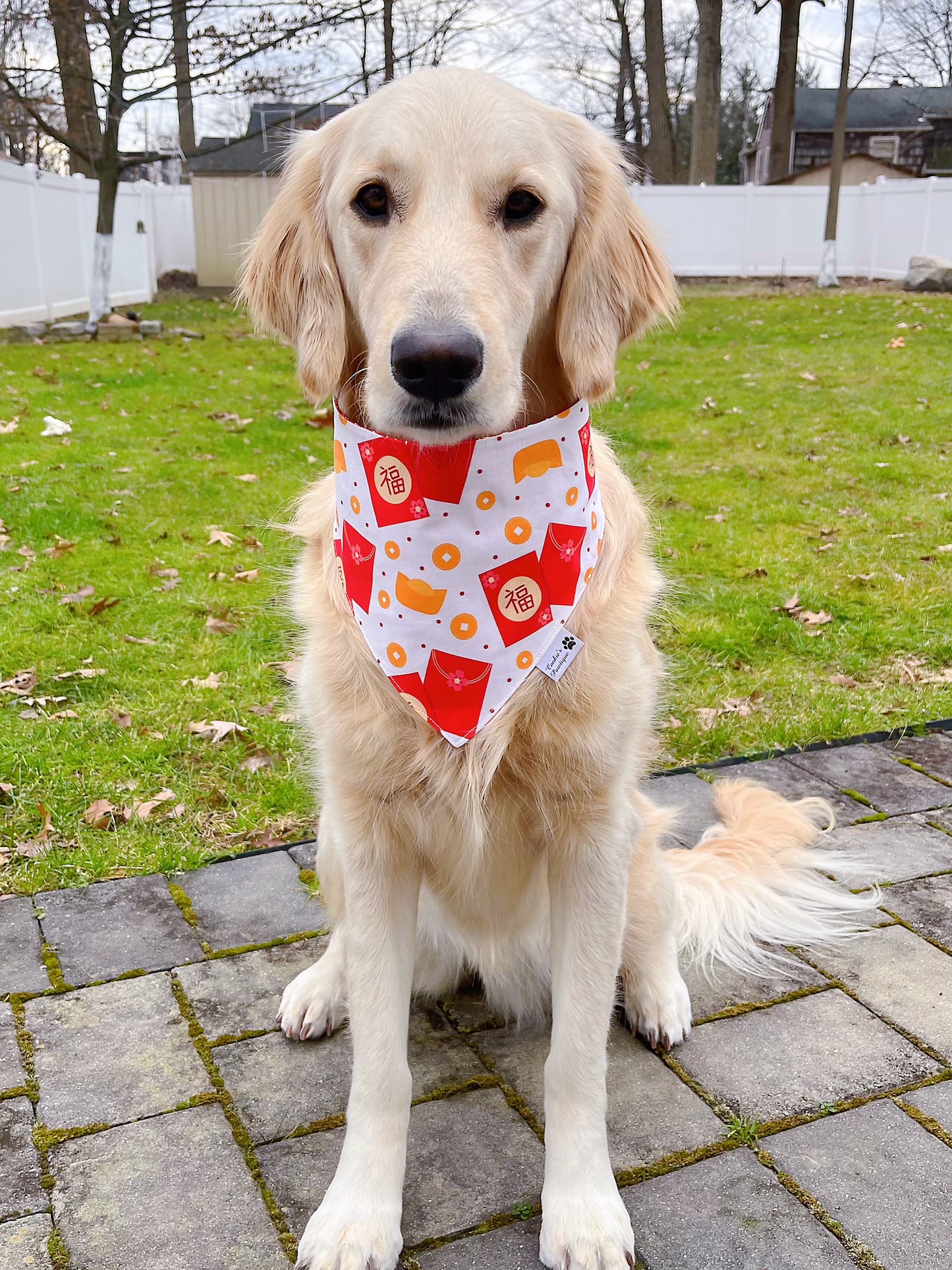 Lunar New Year Red Envelopes Bandana