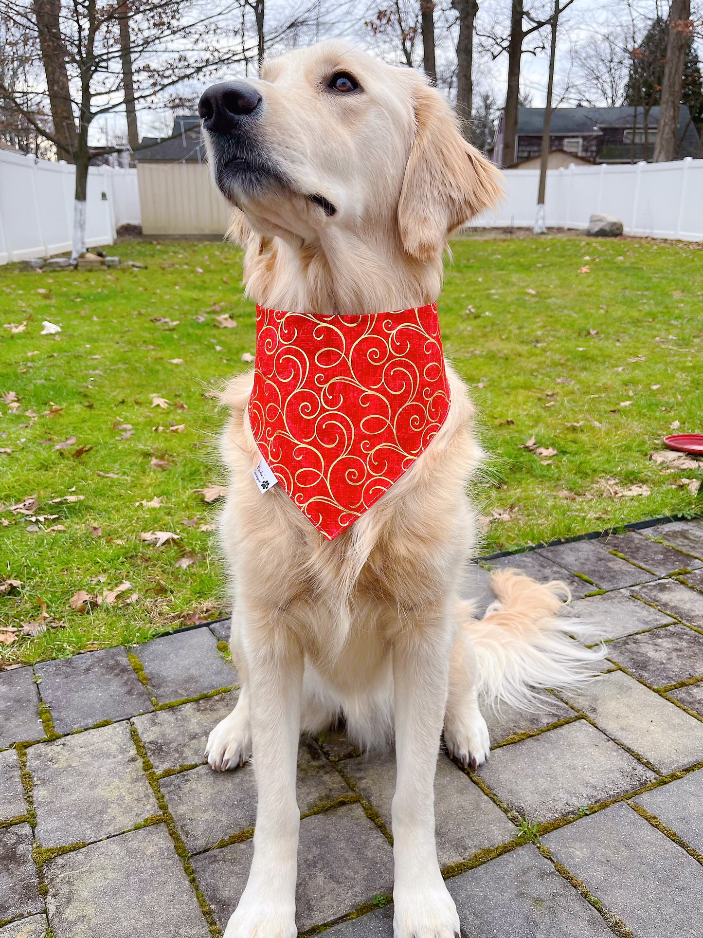 Lunar New Year Red Envelopes Bandana