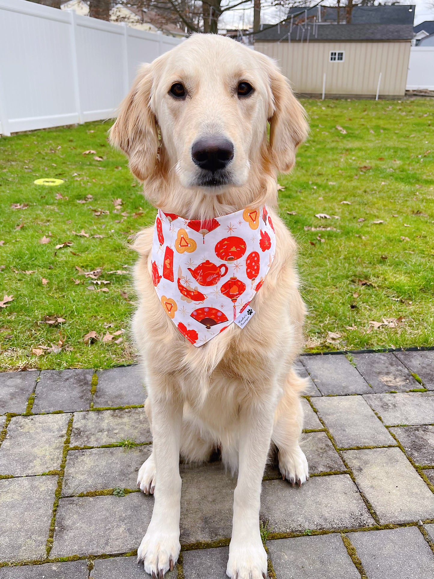 Lunar New Year Celebration Bandana