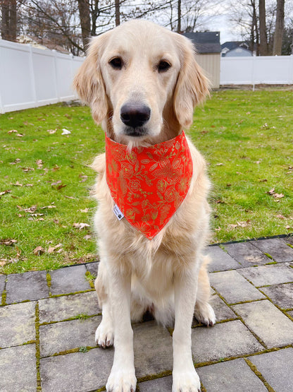 Lunar New Year Celebration Bandana