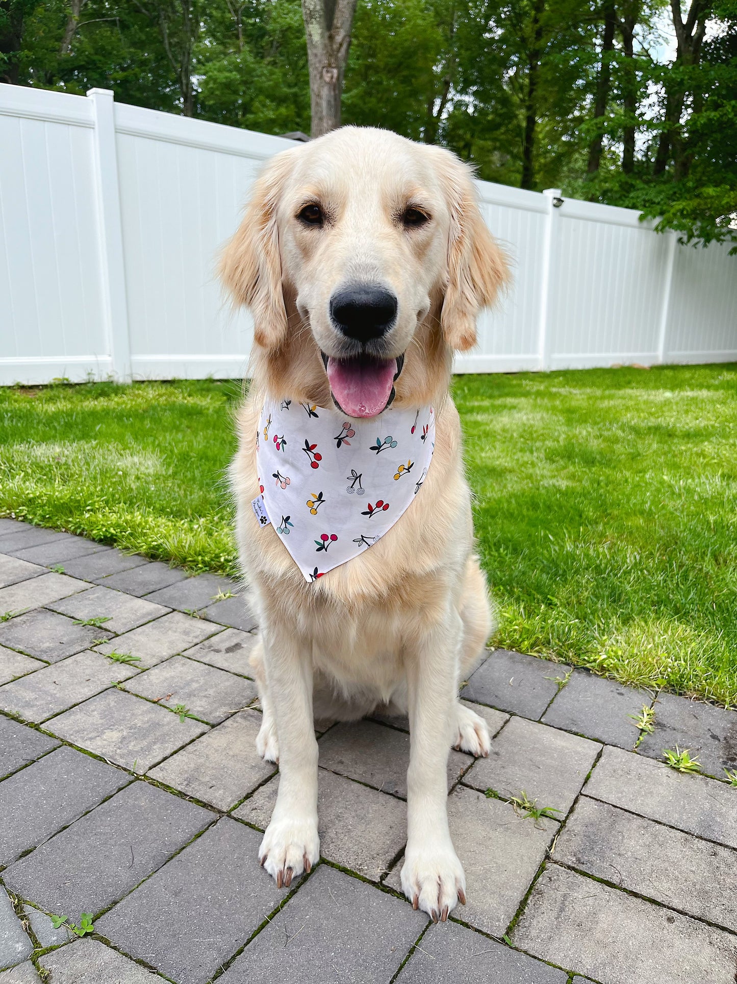 Cherry Ice Cream Cone Bandana