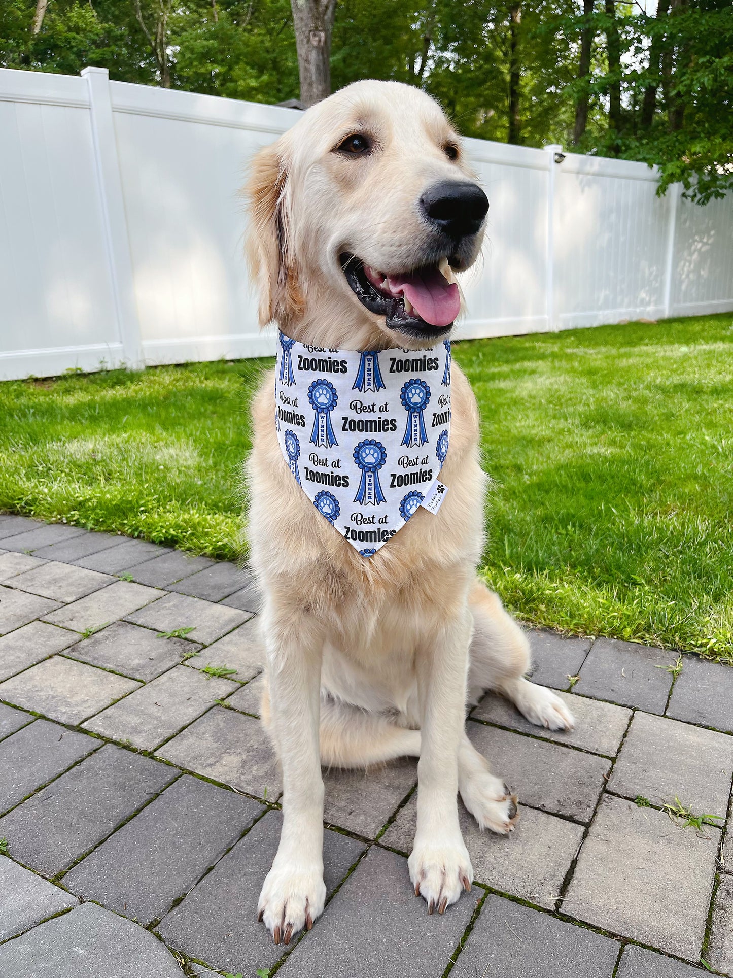 Best At Zoomies Bandana