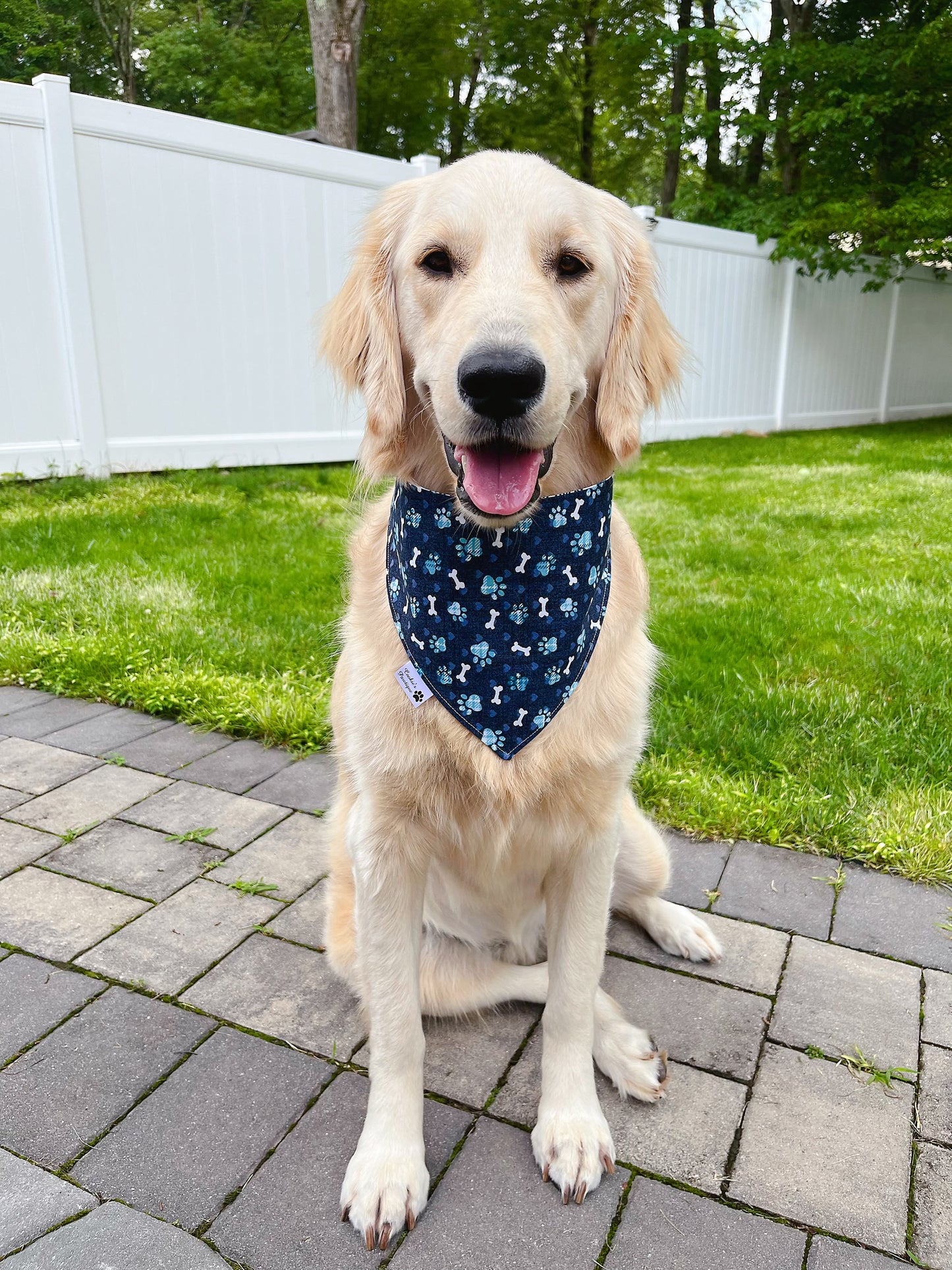 Best At Zoomies Bandana