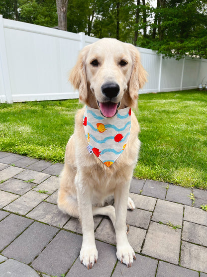 Fin Tails Bandana