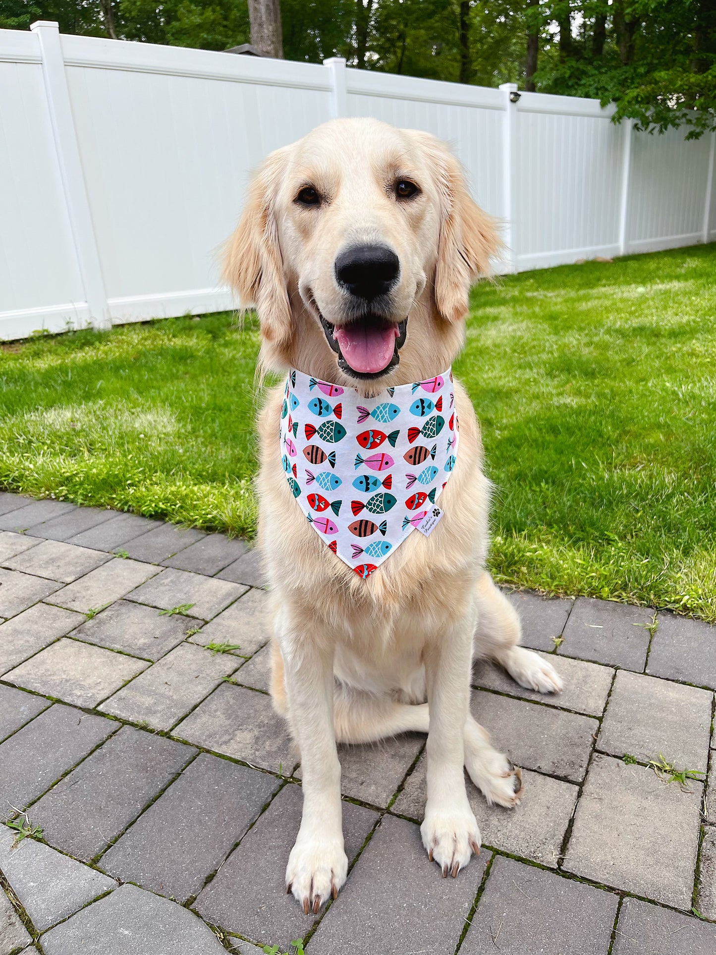 Fin Tails Bandana