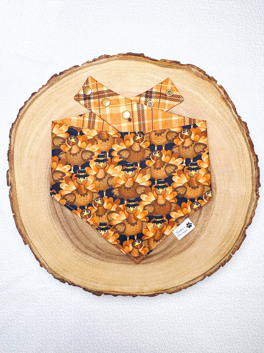 Turkeys and Plaid Bandana