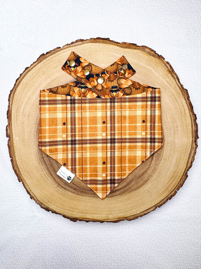 Turkeys and Plaid Bandana