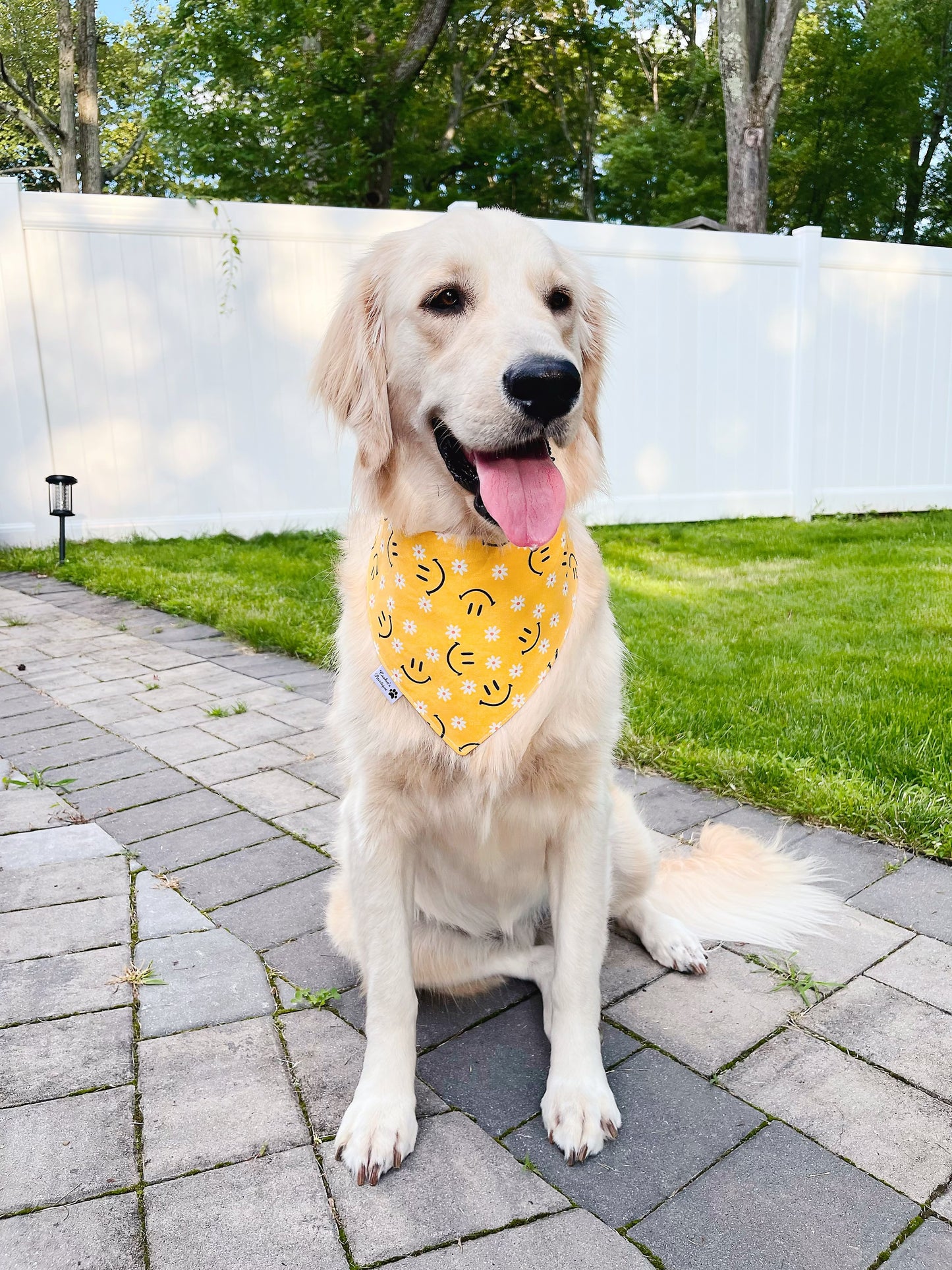 Little Crocs And Daisy Smiles Bandana