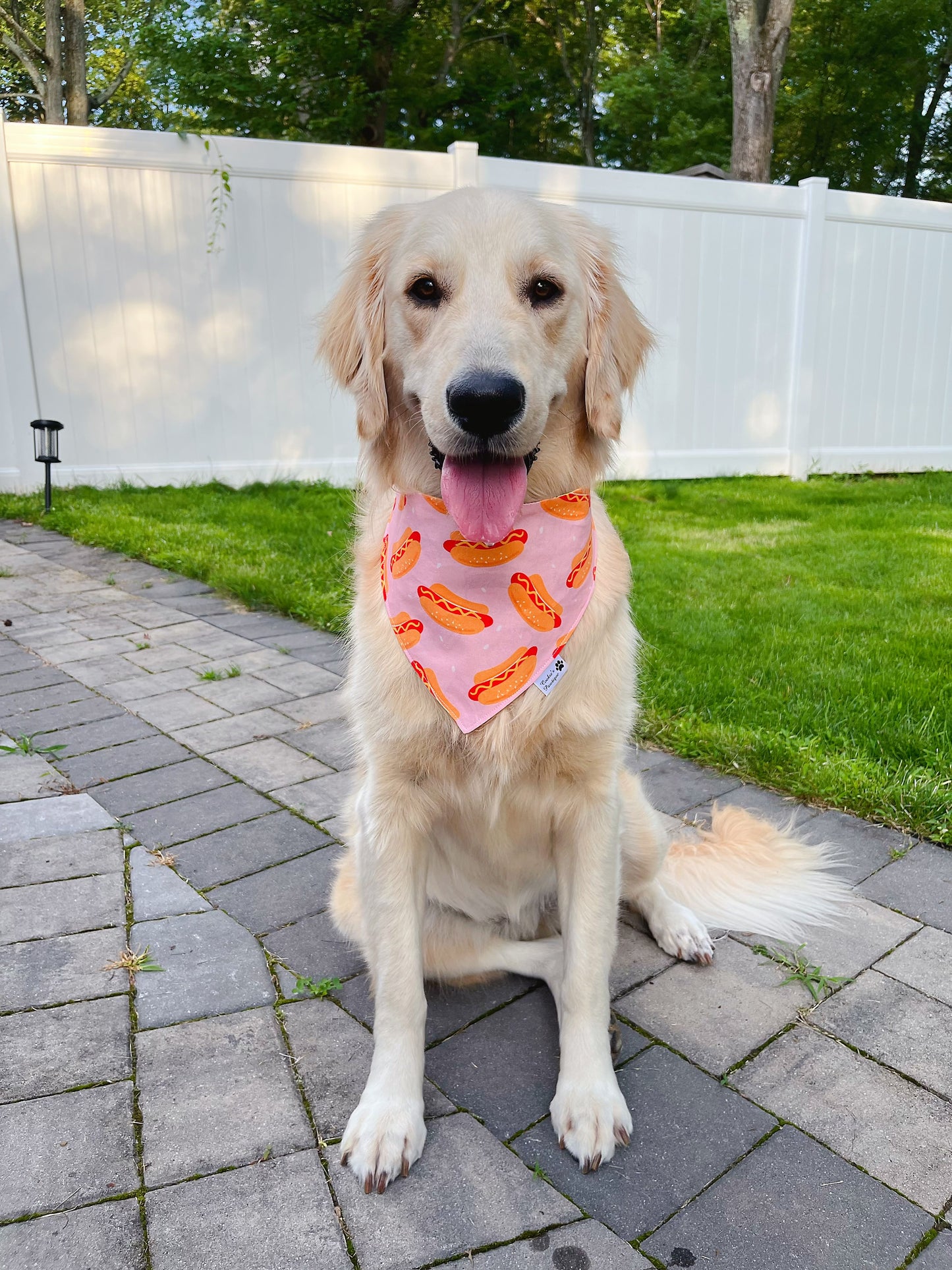 Hamburgers And Hotdogs Bandana