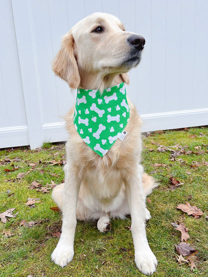 Puppy Treat Bones And Shamrock Checks Bandana