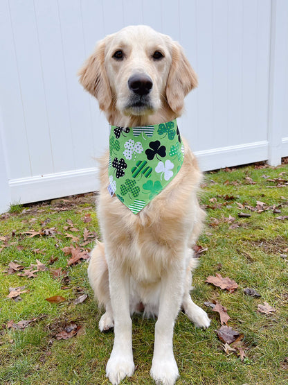 St. Patrick's Day Plaid And Gingham Clovers Bandana