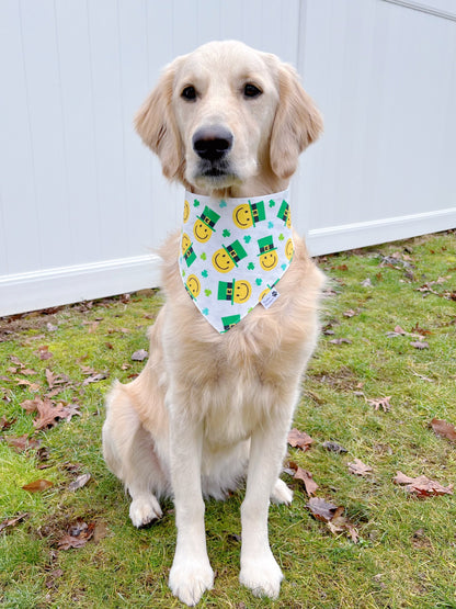 Happy Leprechauns And Hats Bandana