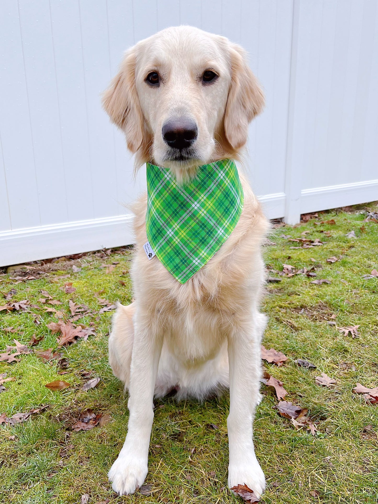 Cute Shamrocks And Glitter Green Plaid Bandana