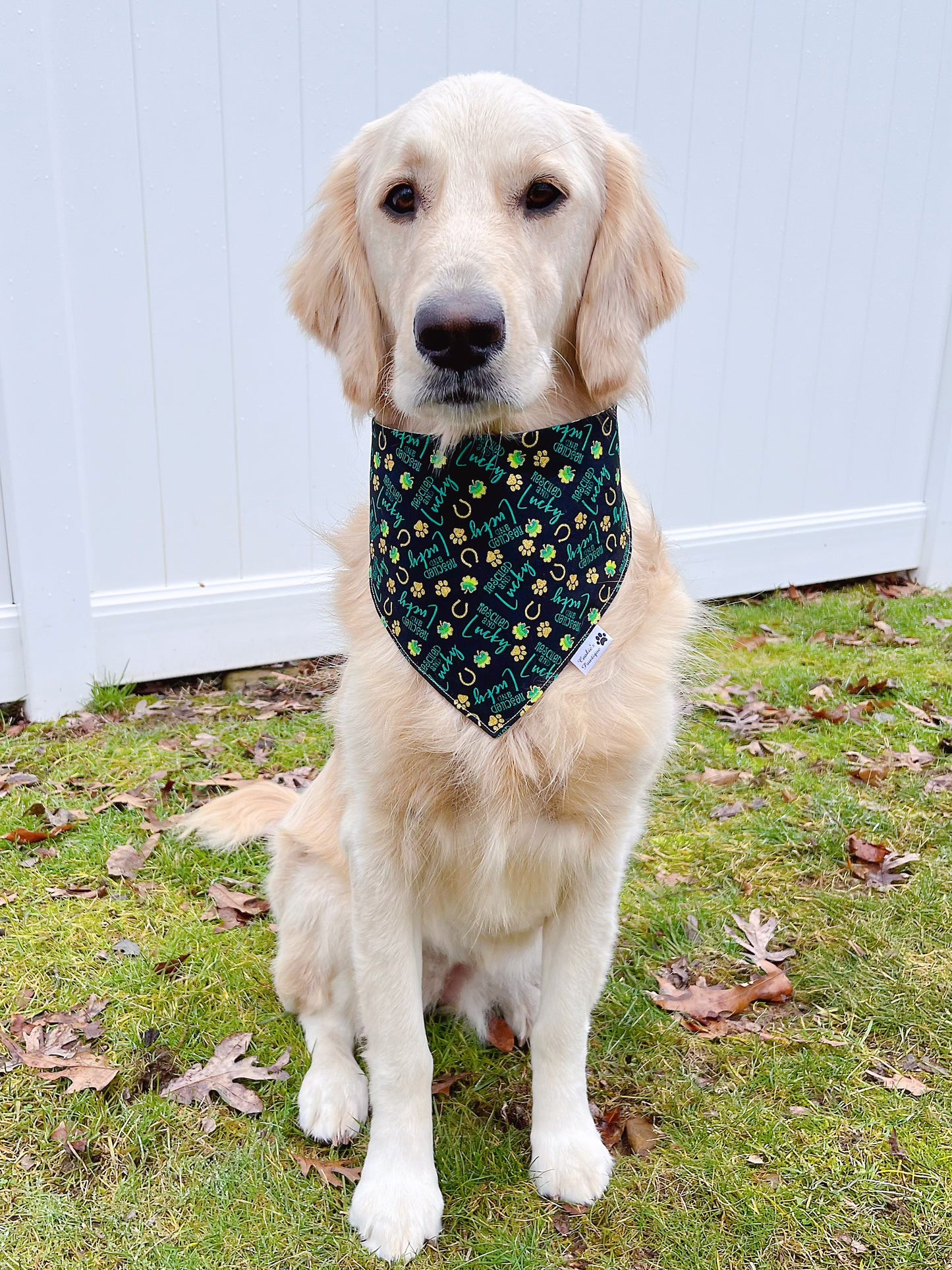 Rescued And Lucky Bandana