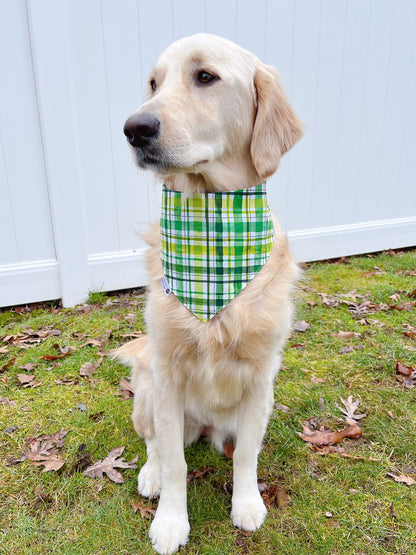 Rescued And Lucky Bandana