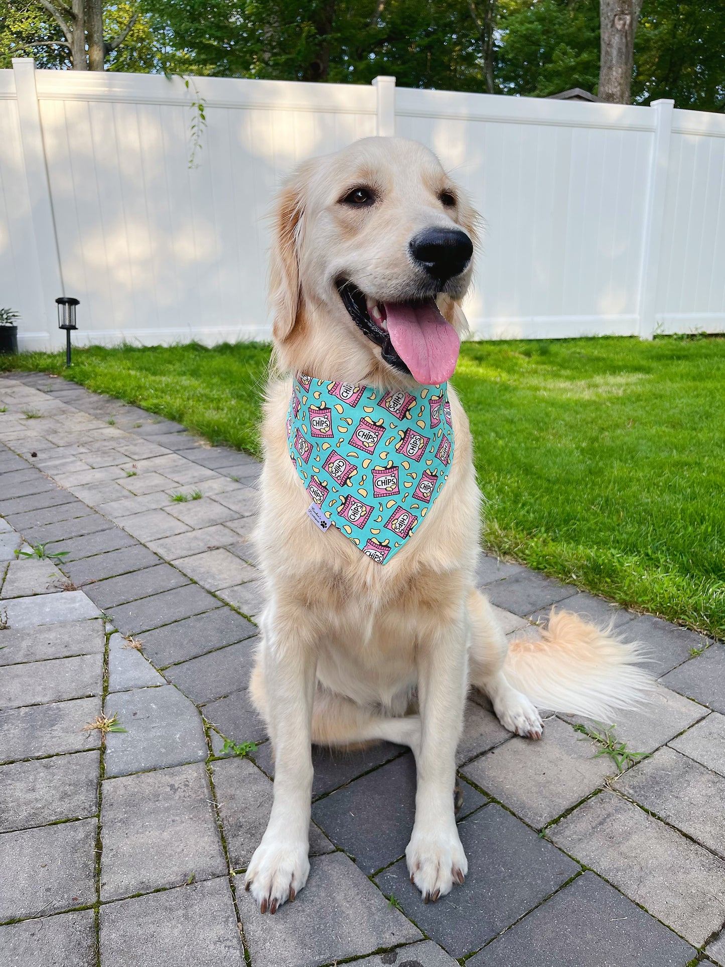 Fries And Potato Chips Bandana