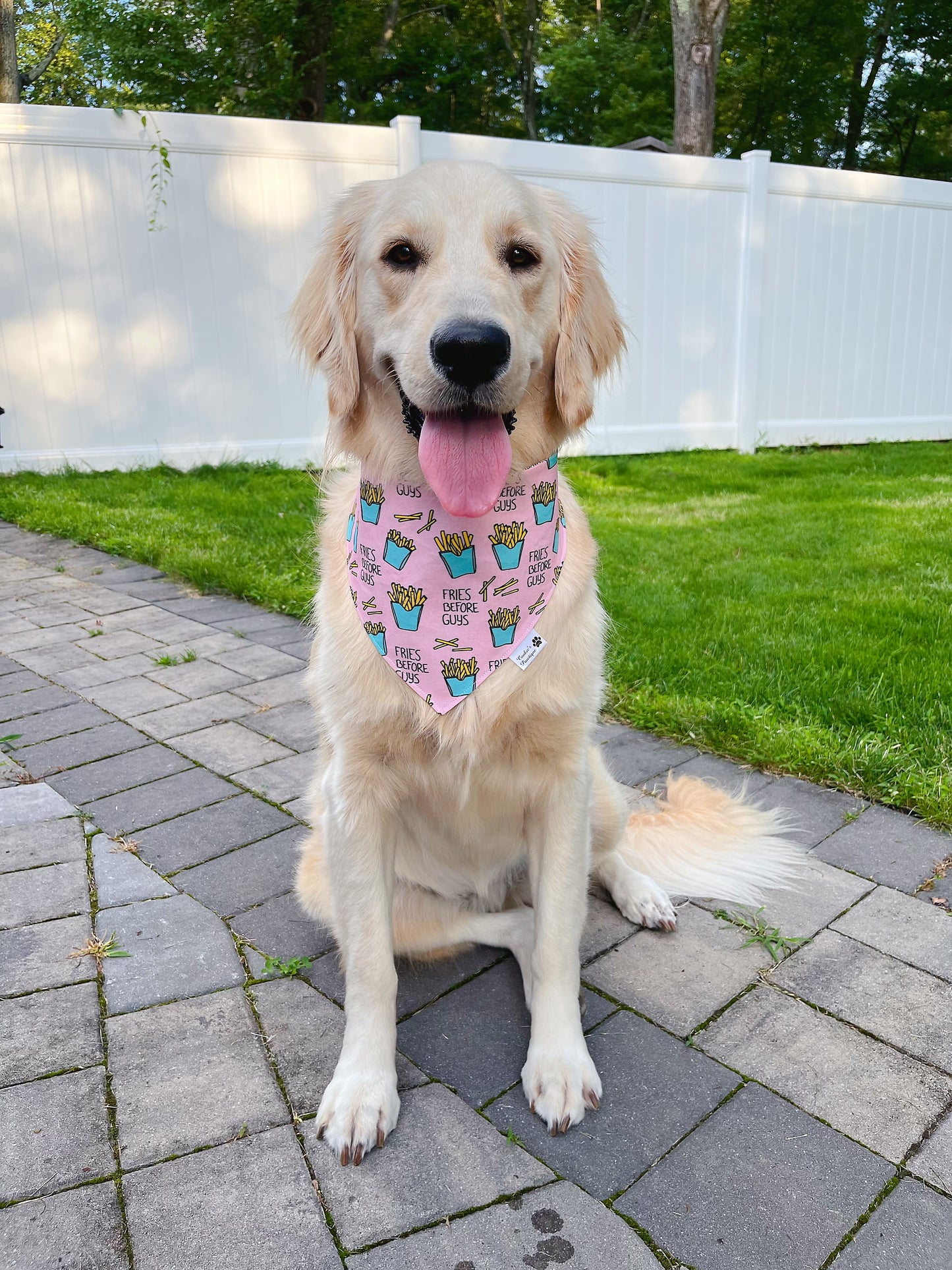 Fries And Potato Chips Bandana