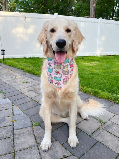 Pancakes And Cupcakes Bandana