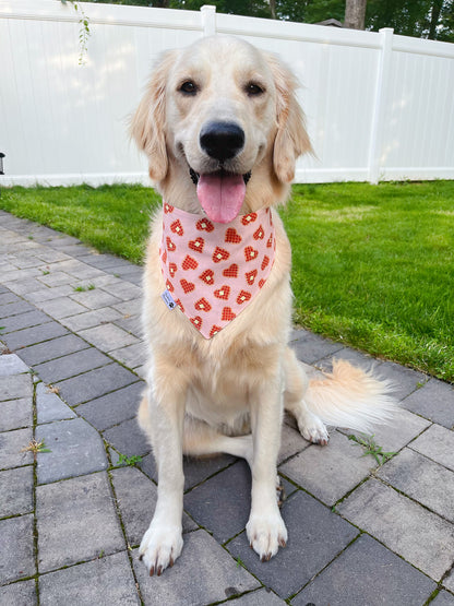 Cute Woofles Bandana