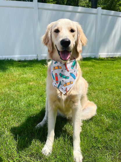 Skater Dinos Bandana