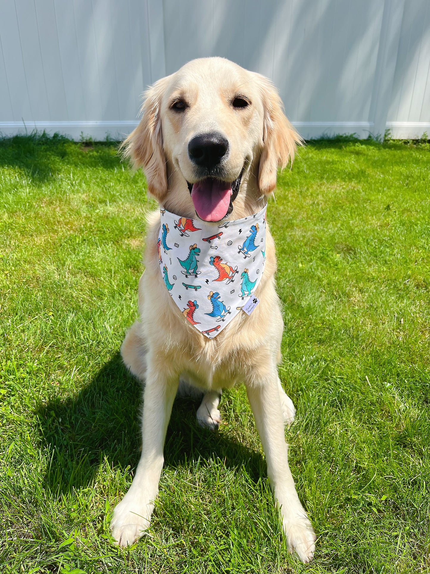 Skater Dinos Bandana