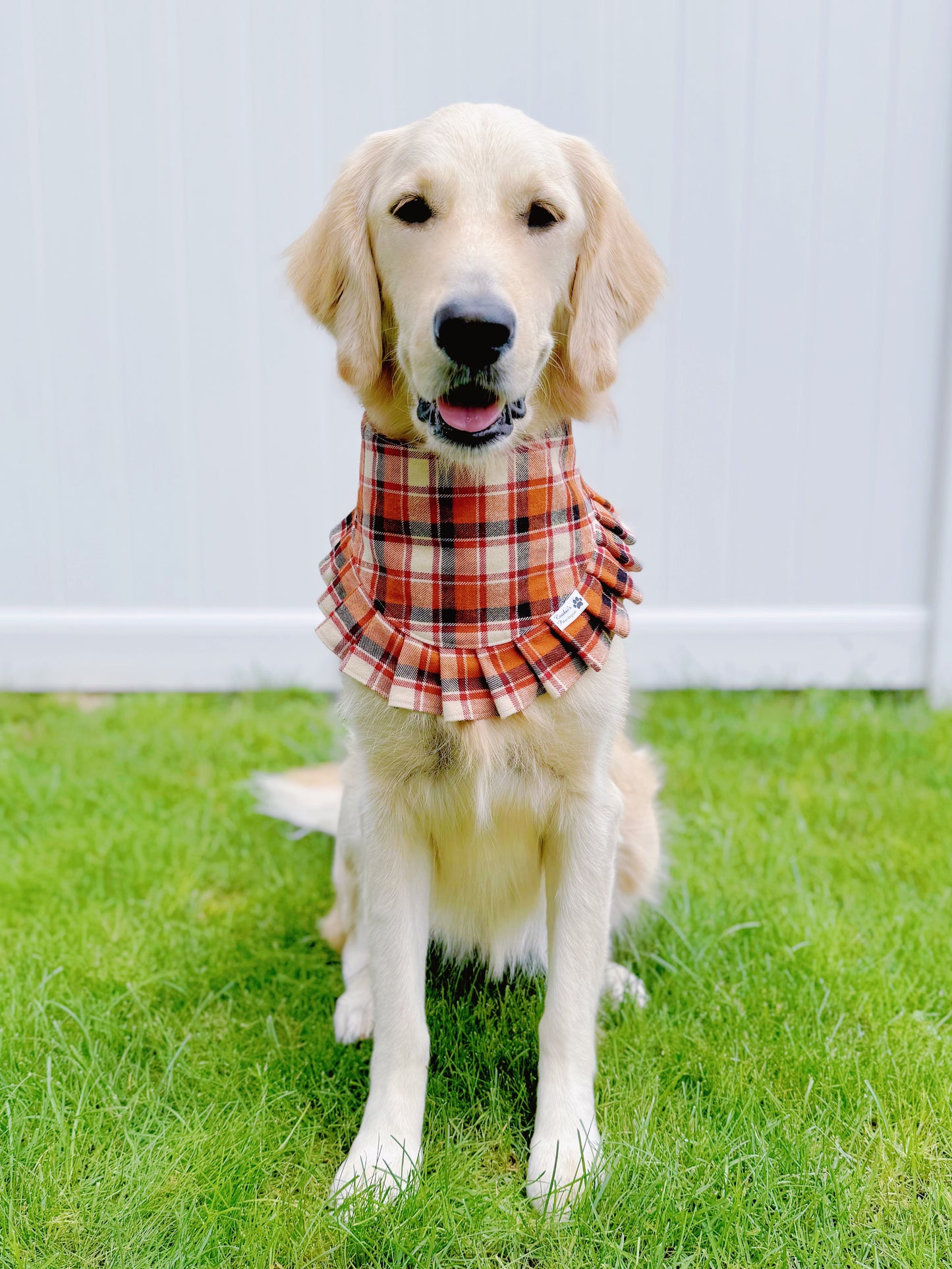 Rust Blush Plaid Bandana