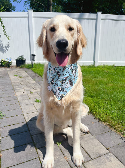 Cycling Dinos Bandana