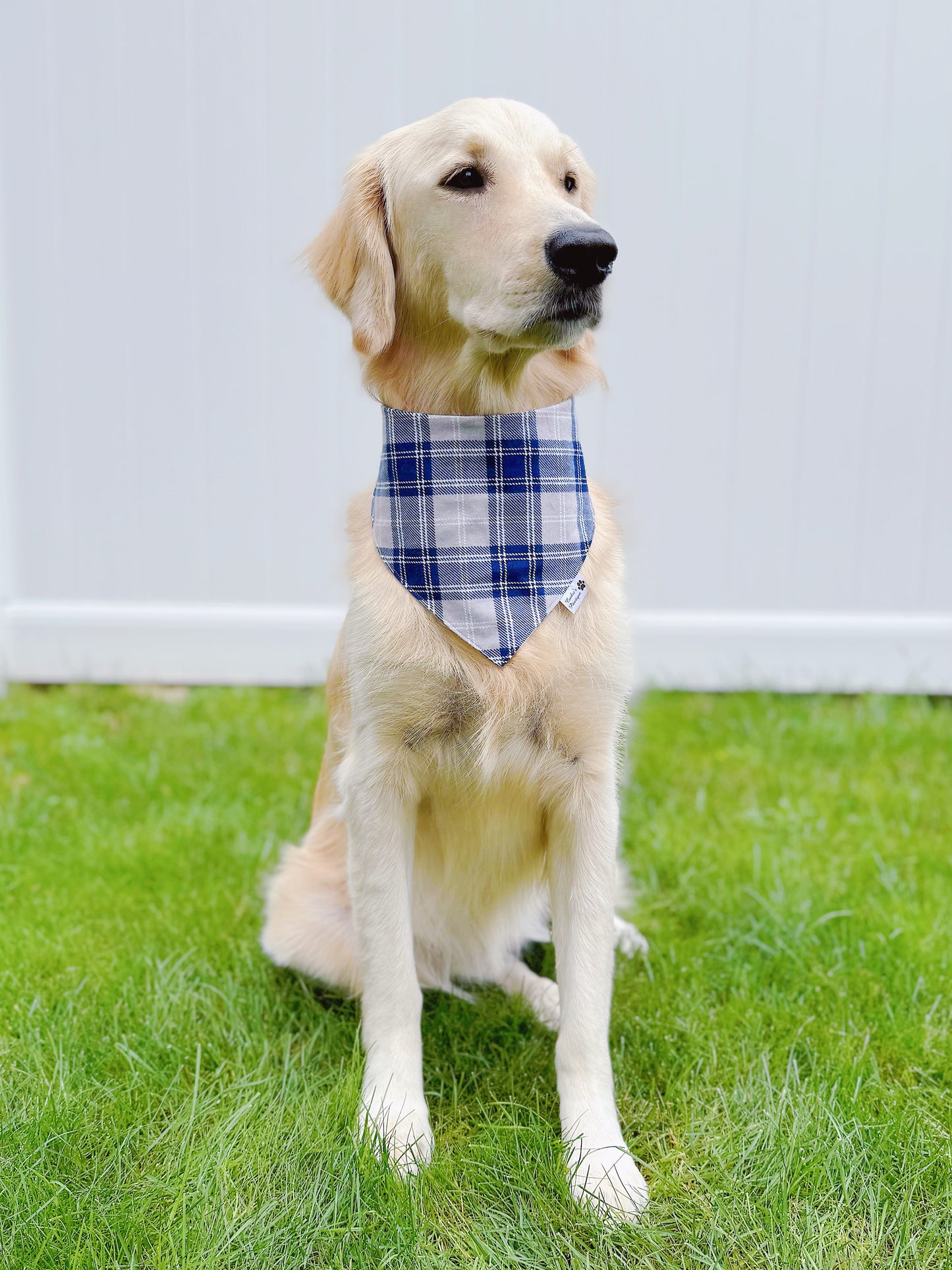 Blue and Green Plaid Bandana