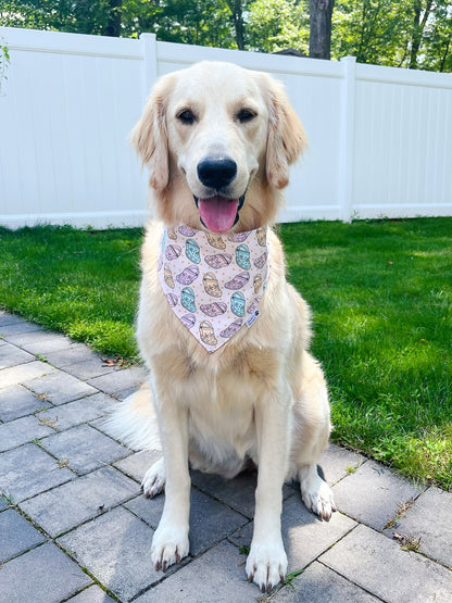 Little Crocs And Daisy Smiles Bandana