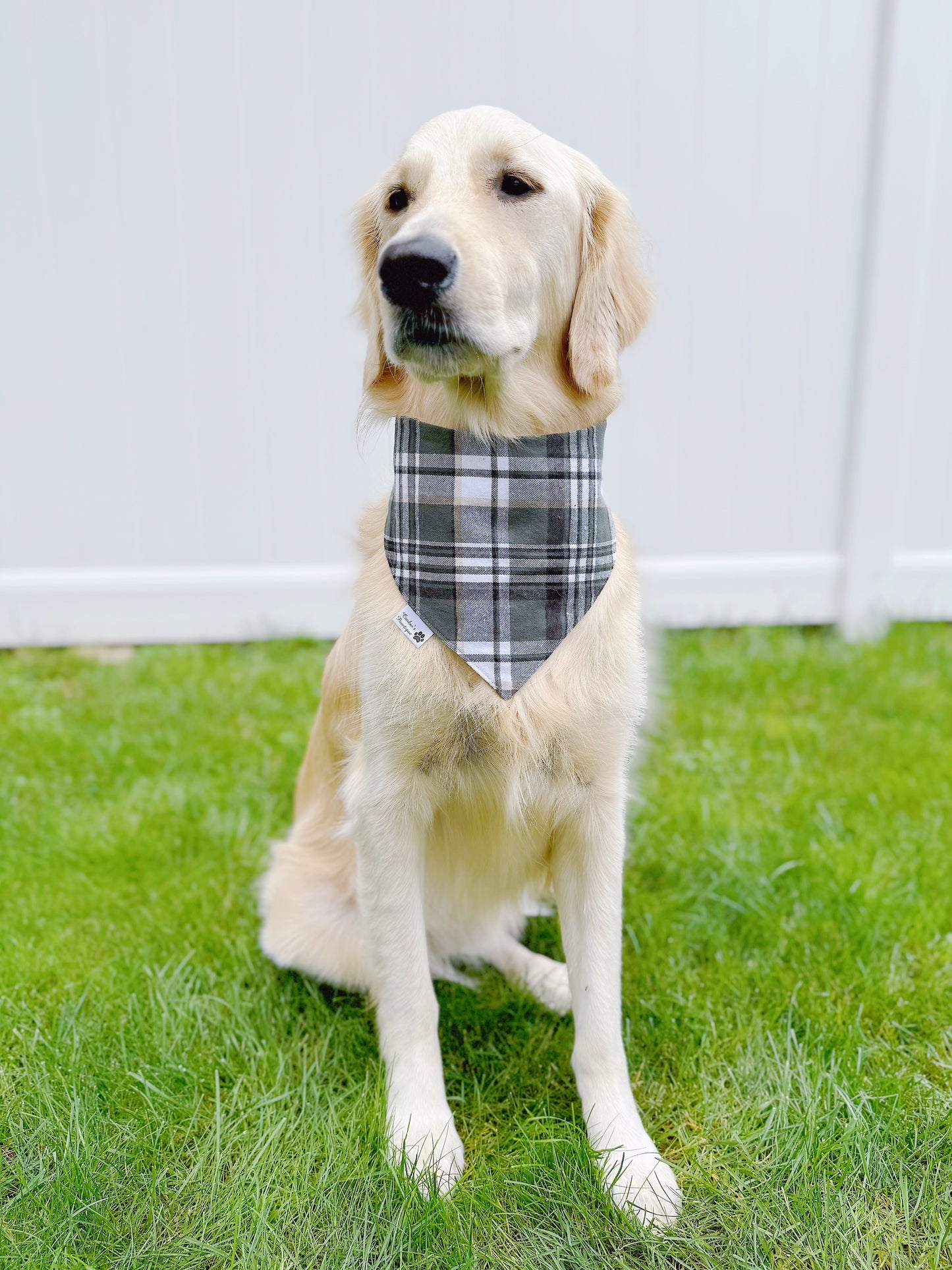 Blue and Green Plaid Bandana