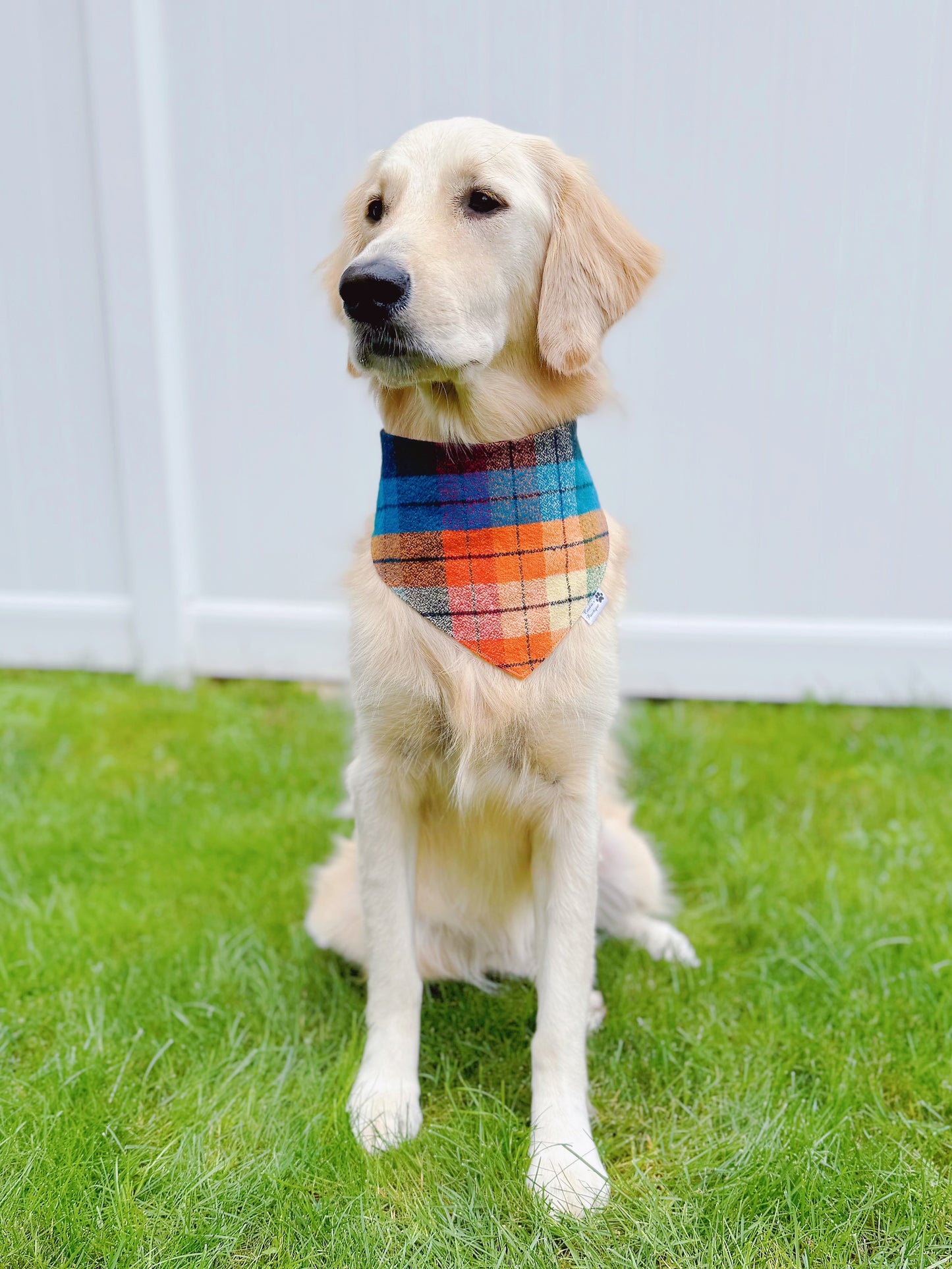 Fall Colors and Woods Bandana