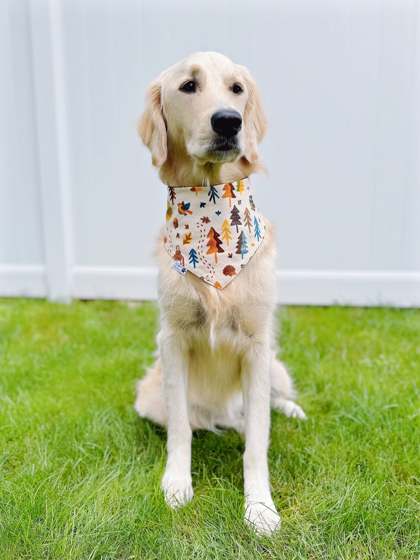 Fall Colors and Woods Bandana