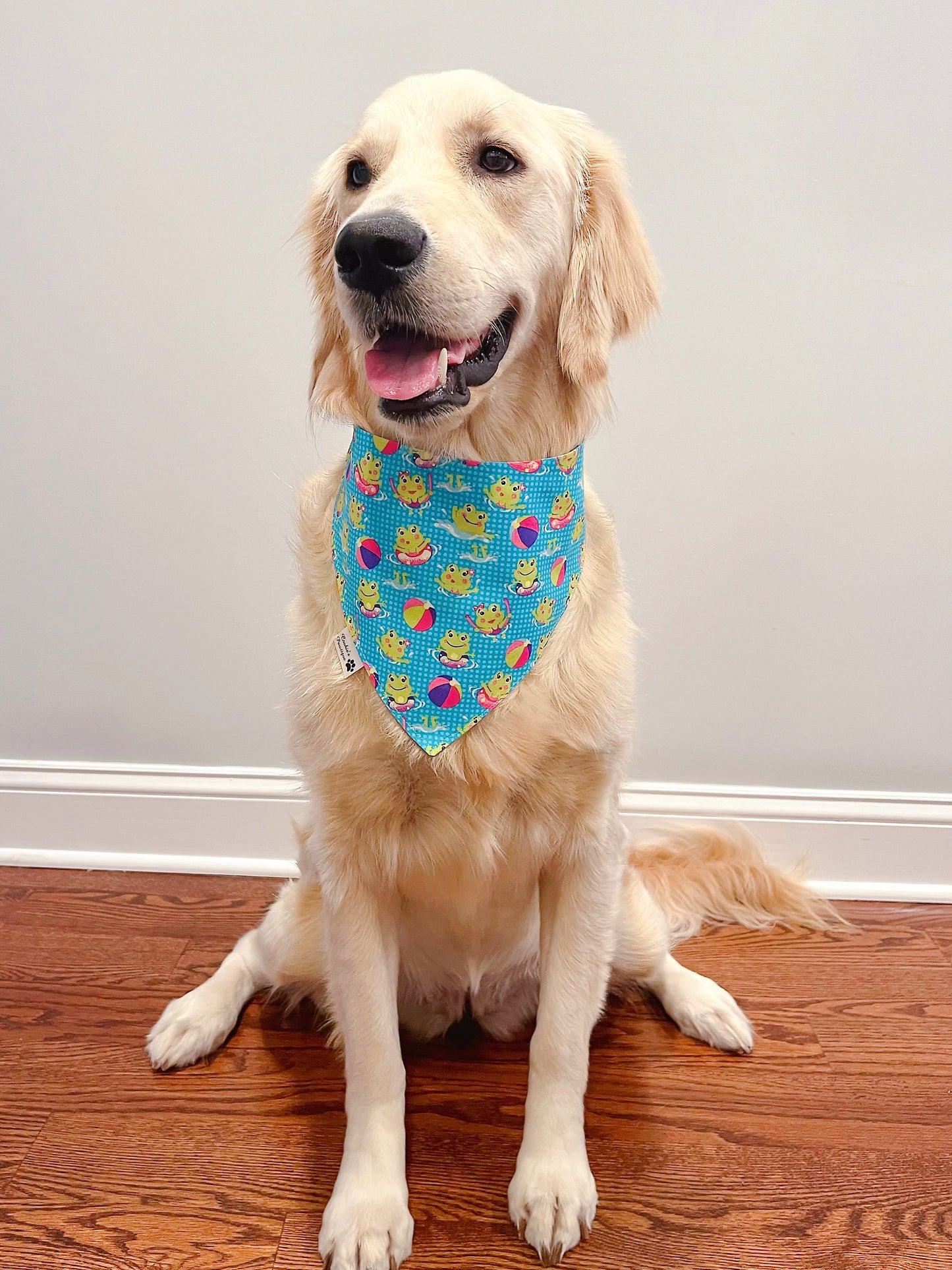 Cute Frogs Bandana