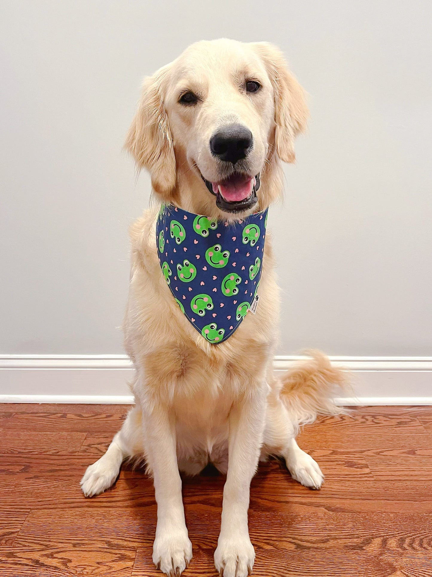 Cute Frogs Bandana