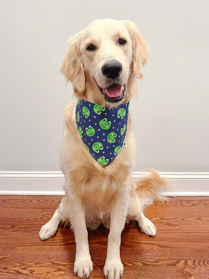 Cute Frogs Bandana