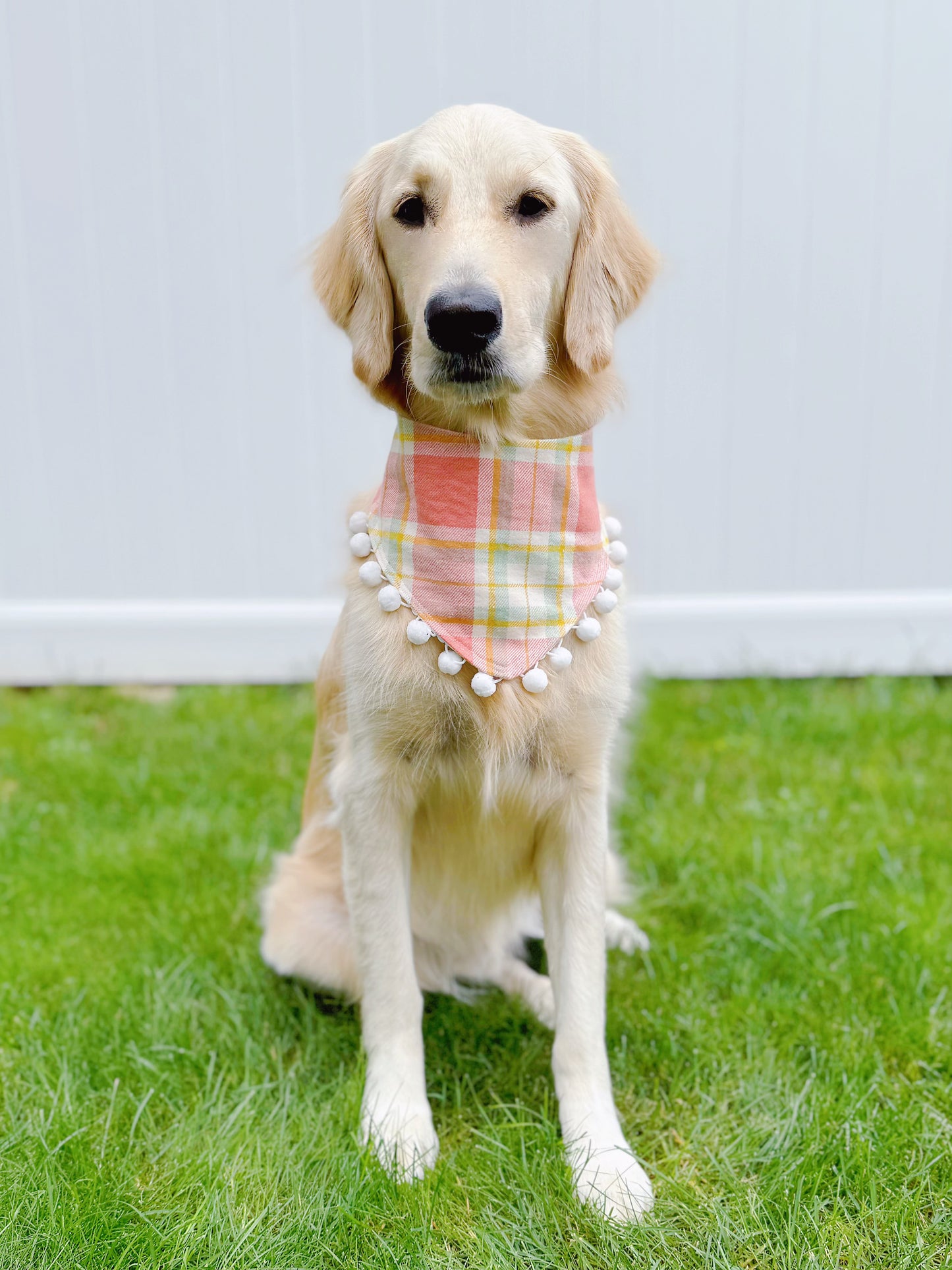 Sunflower and Blush Pink Plaid Bandana