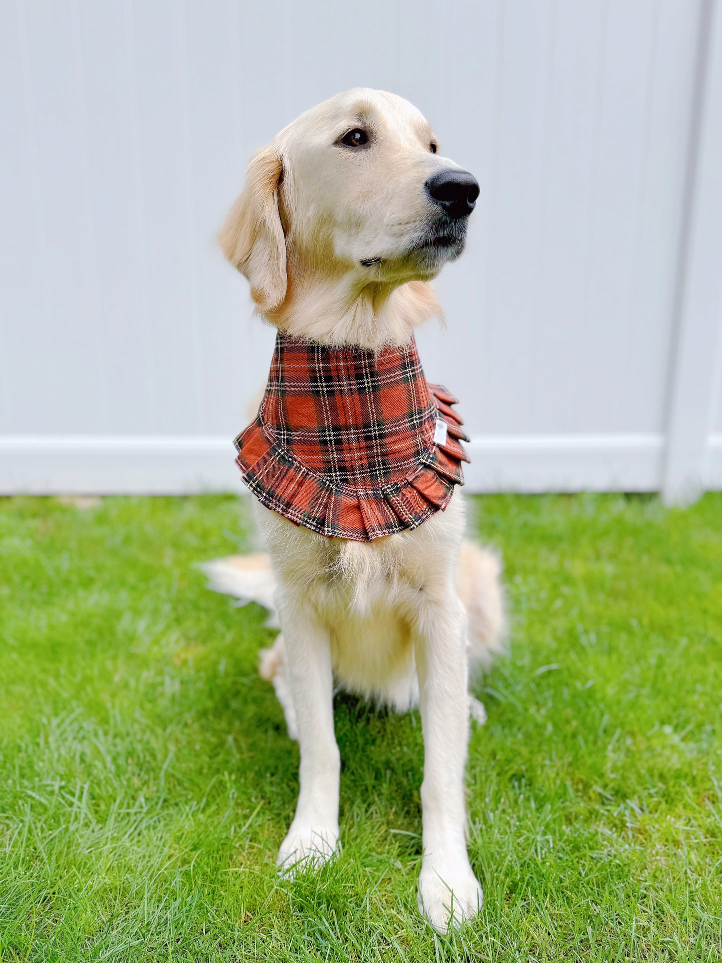 Brown and Rust Grid Plaid Bandana