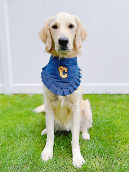 Fall Denim Patchwork Bandana