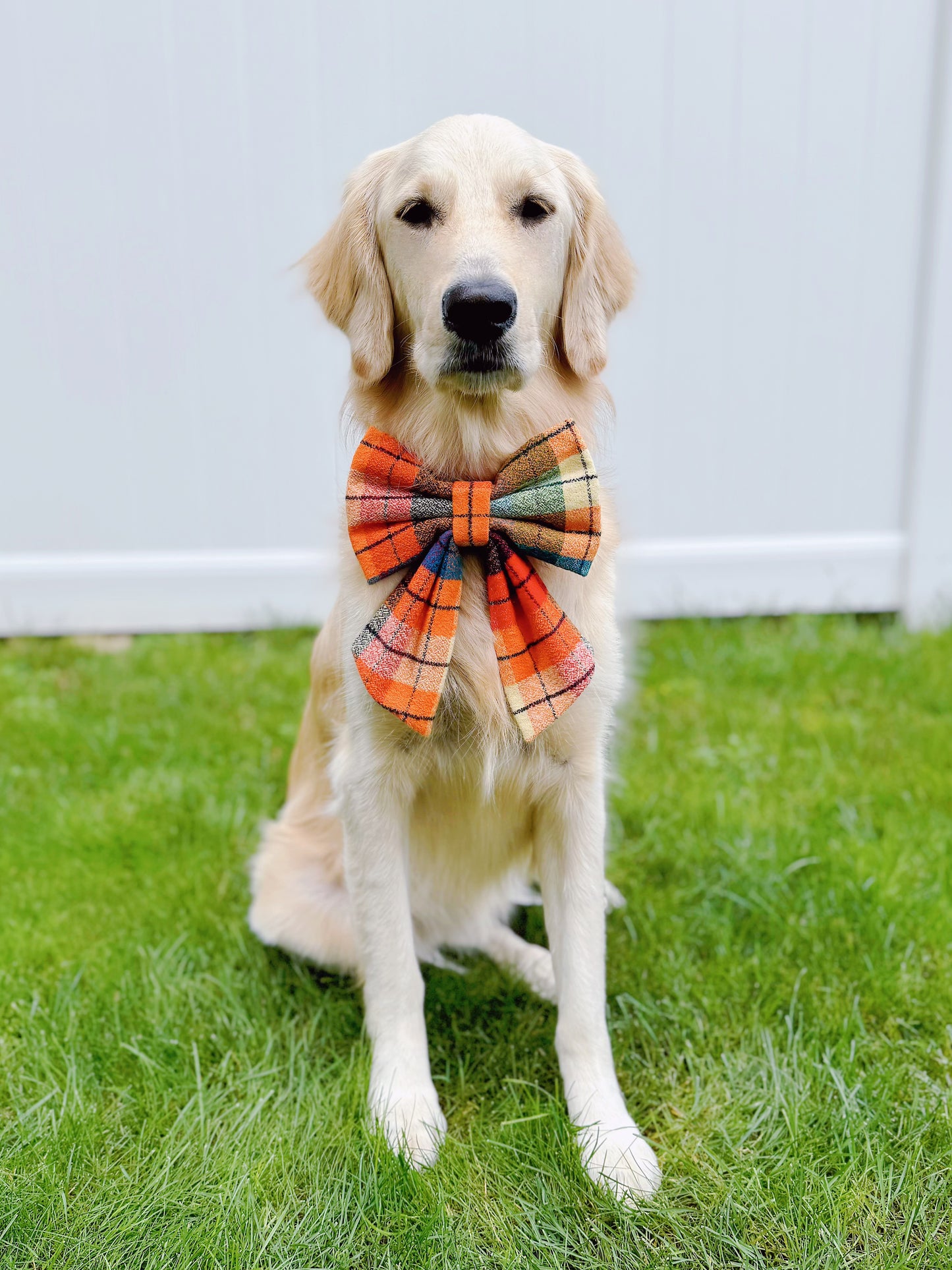 Multicolor Ombre Plaid Bow