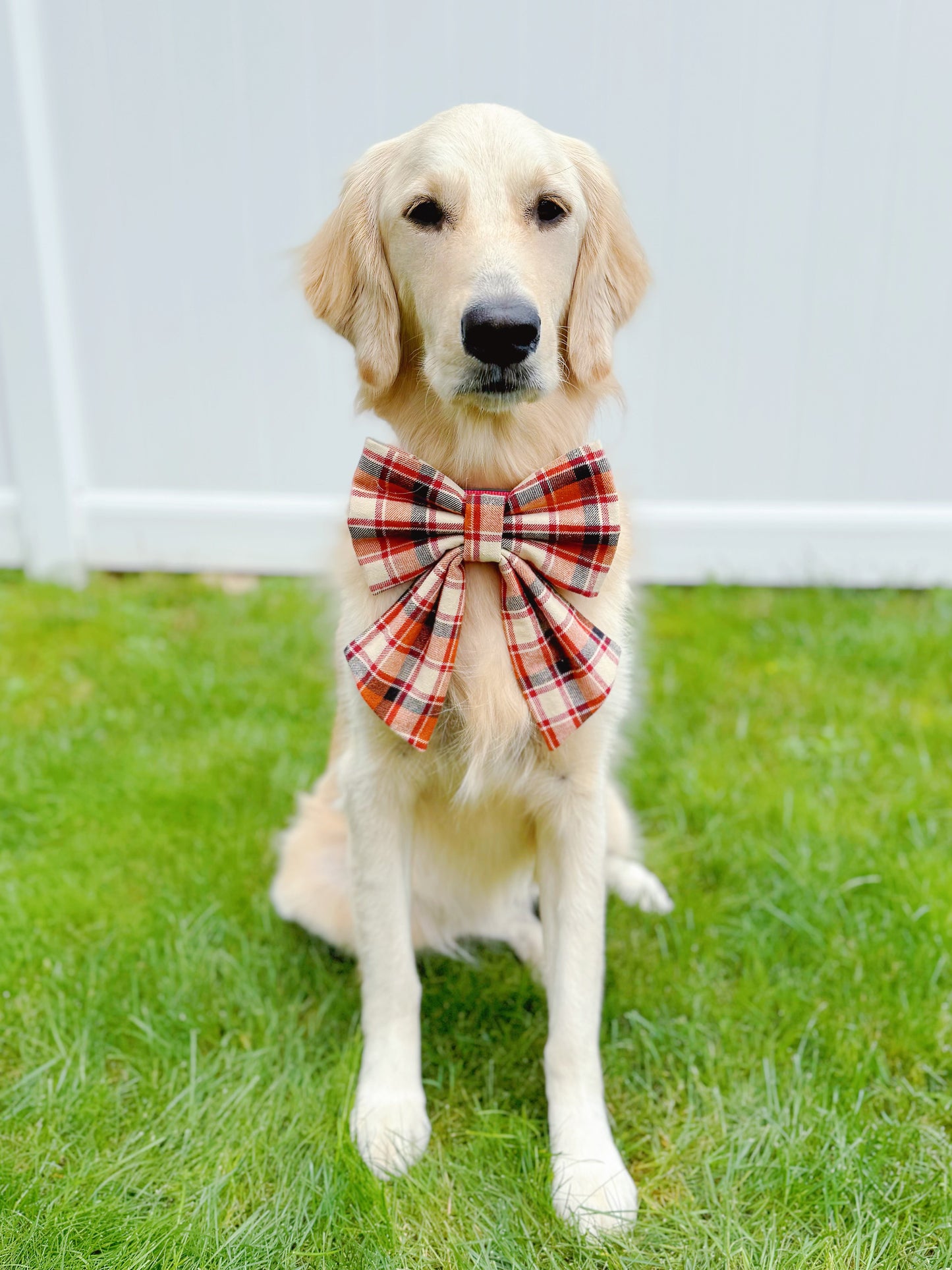 Rust Blush Plaid Bow