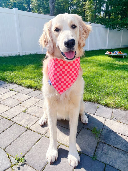 Couch Potato Bandana - Pink