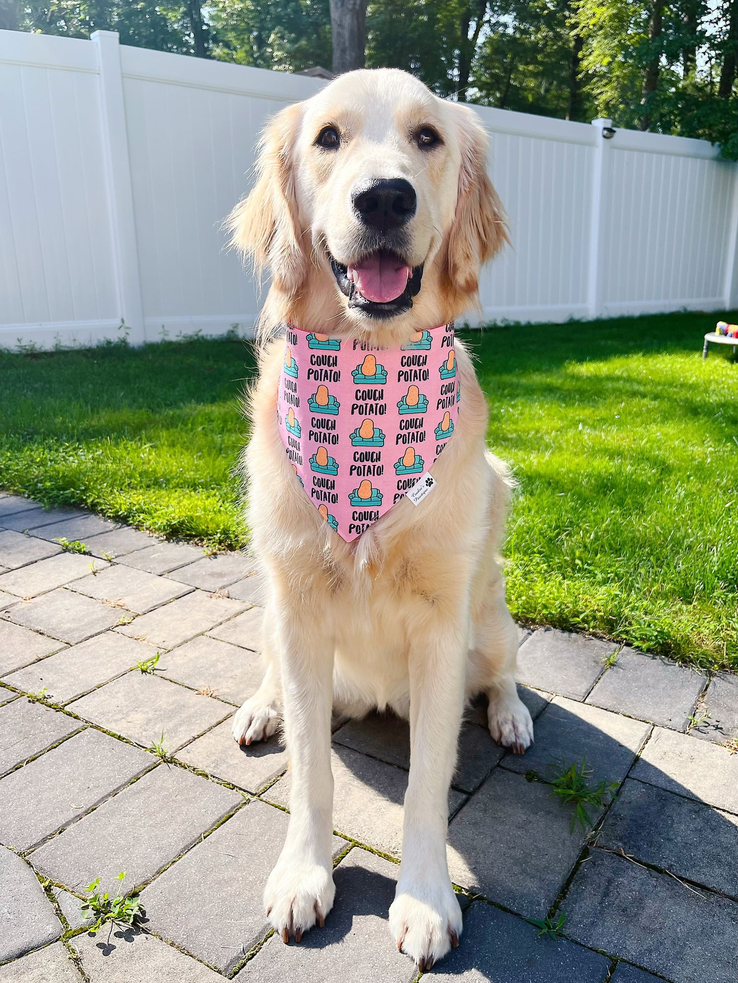 Couch Potato Bandana - Pink