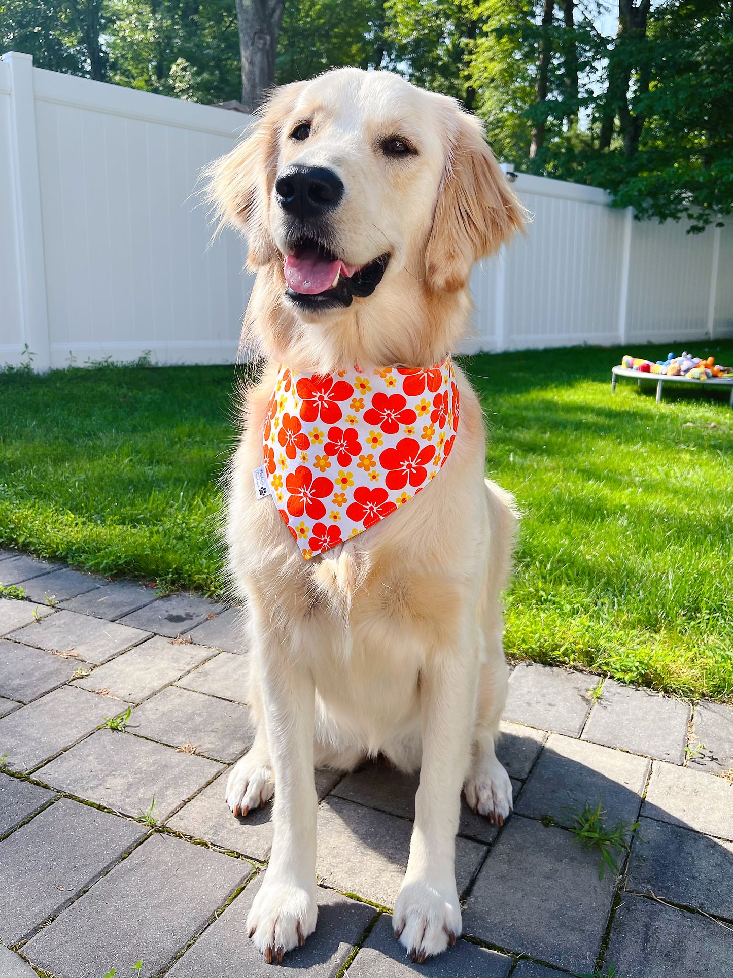 Retro Summer Vibes Bandana