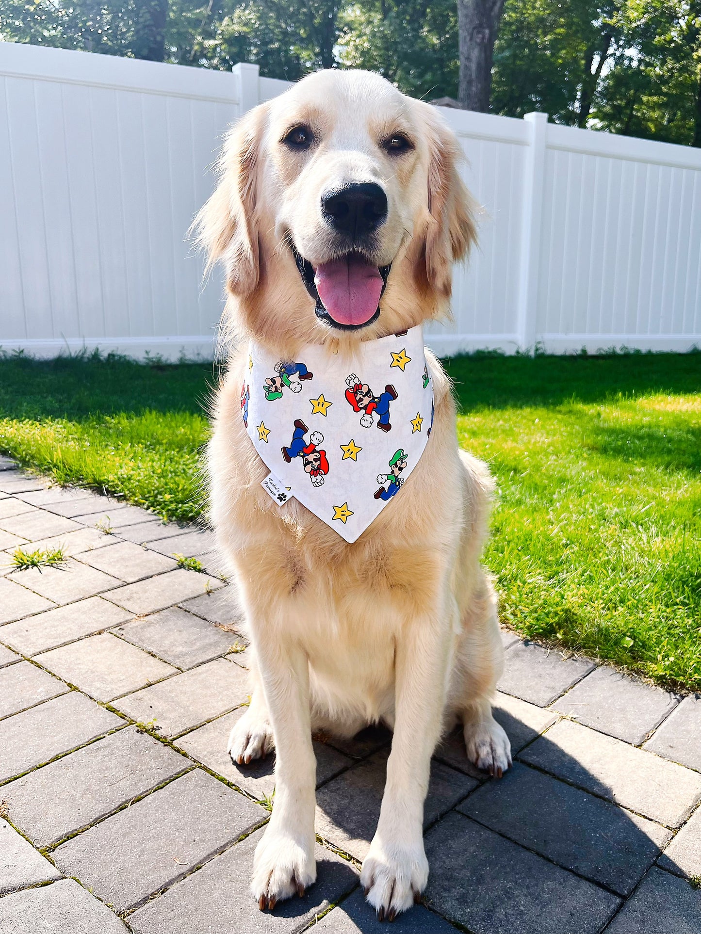 Super Mario Bandana