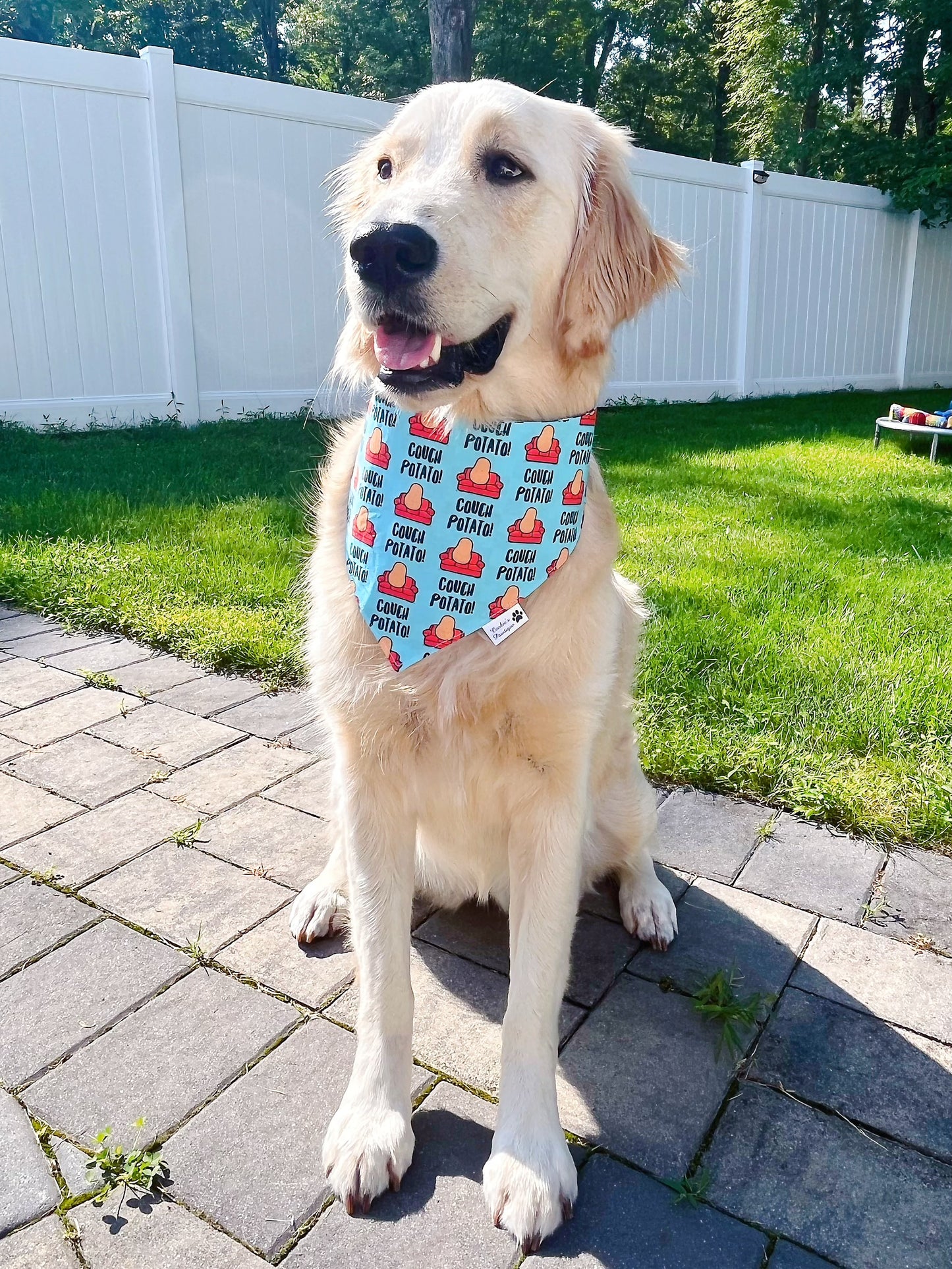 Couch Potato Bandana - Blue